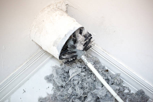Best Professional Duct Cleaning Services  in Freemansburg, PA